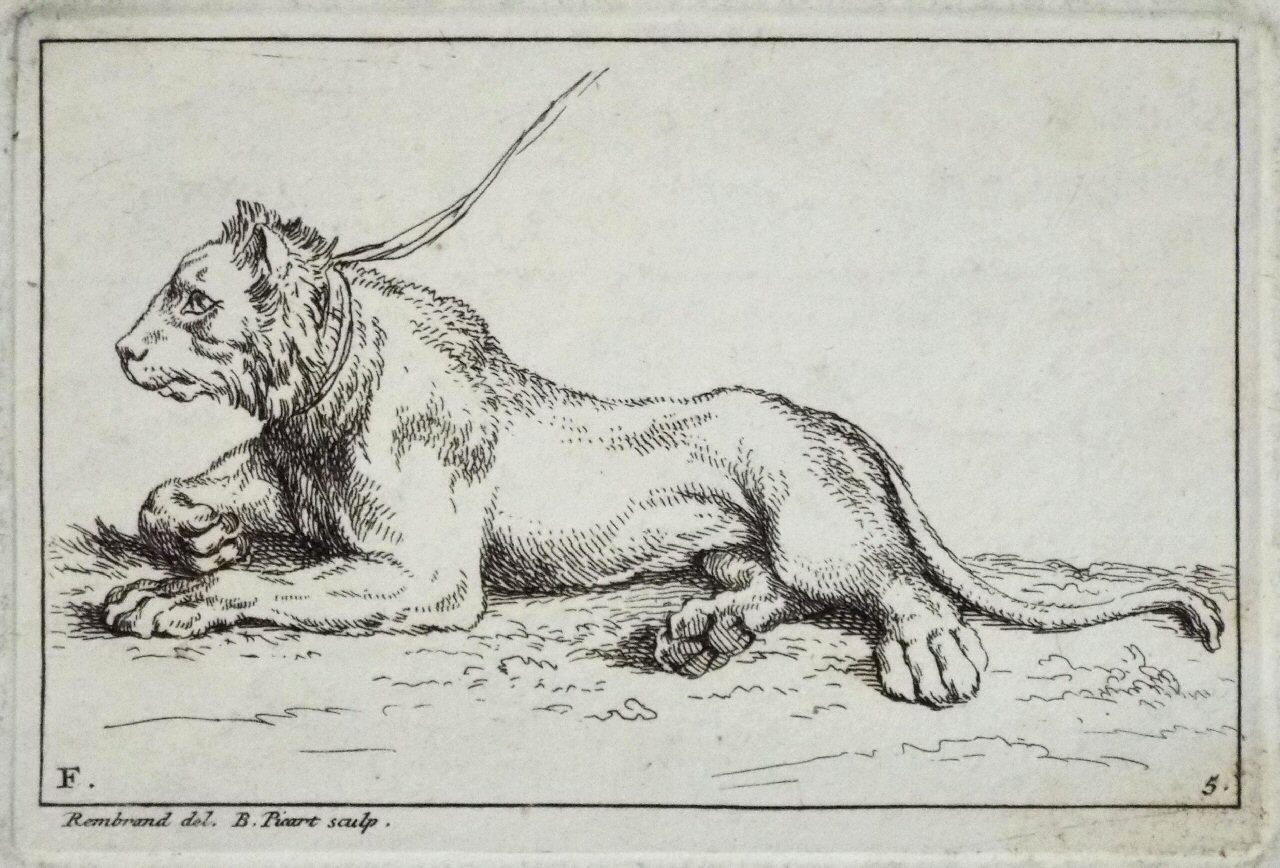 Etching - F. 5. Lion - Picart
